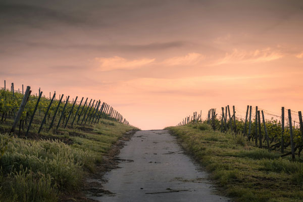 Path